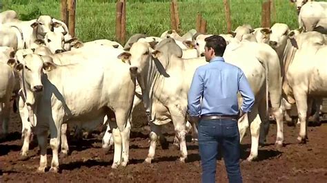 g1 com br globo rural hoje
